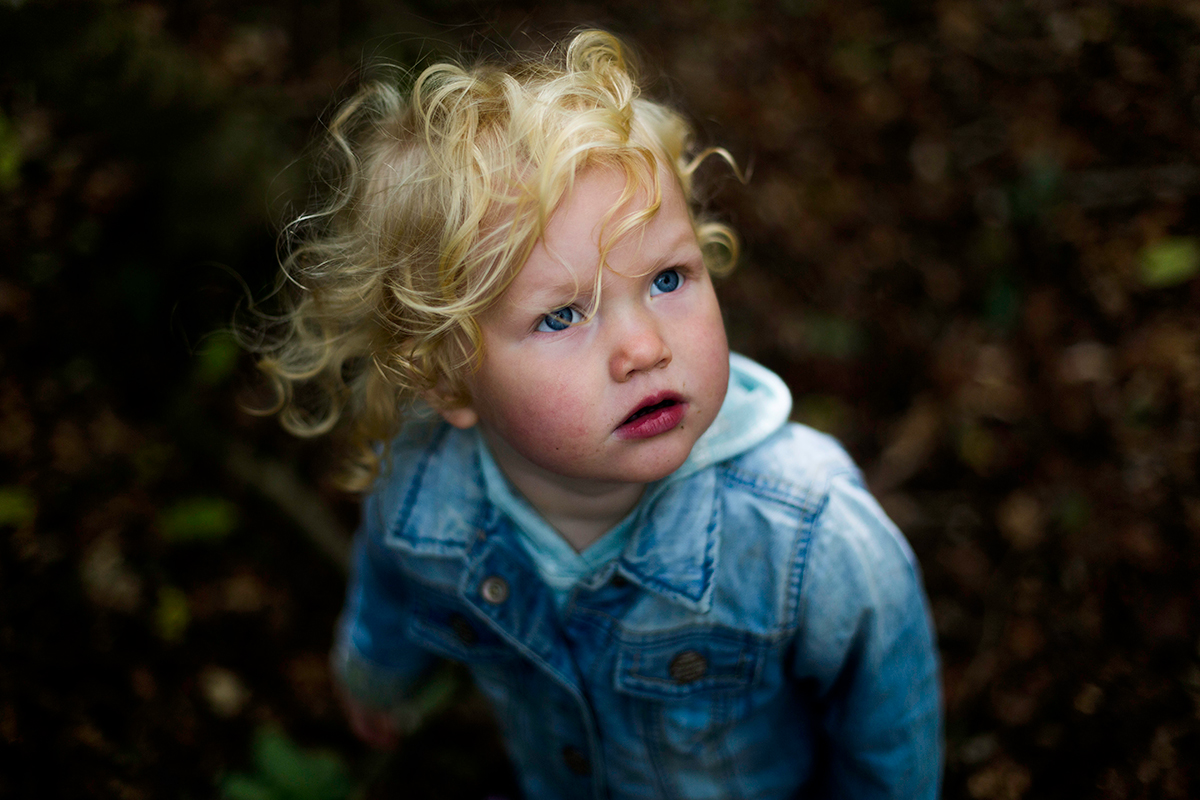 Our New Life in the New Forest