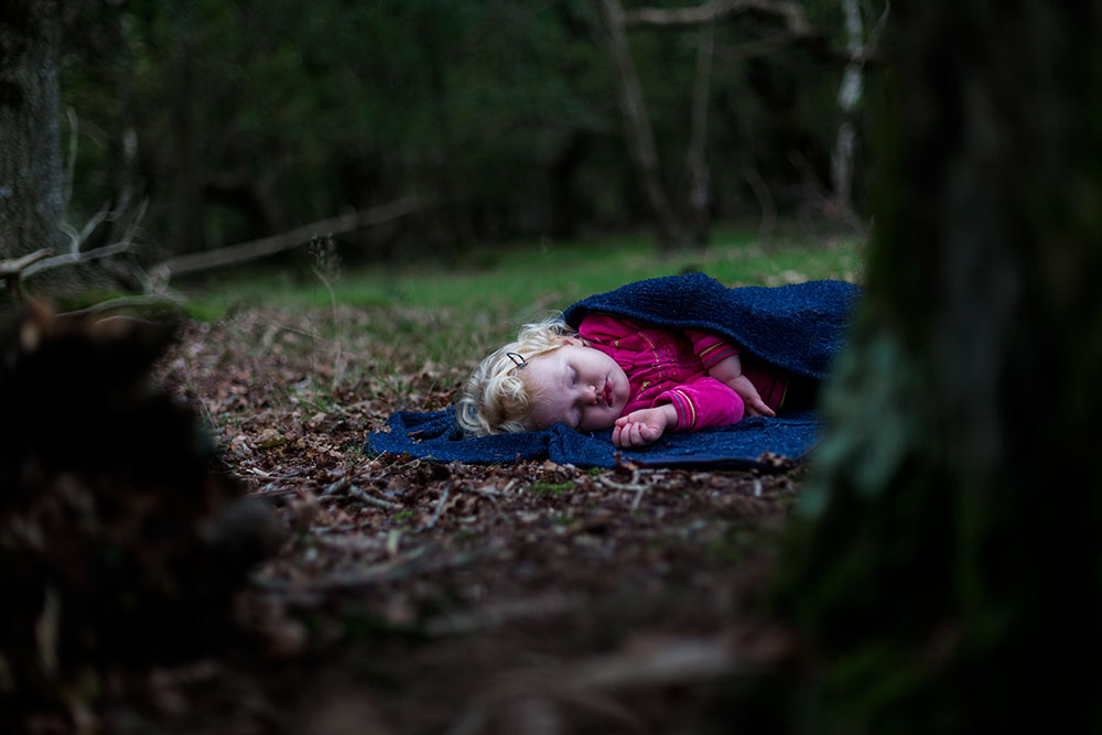 Holland's Wood Wandering