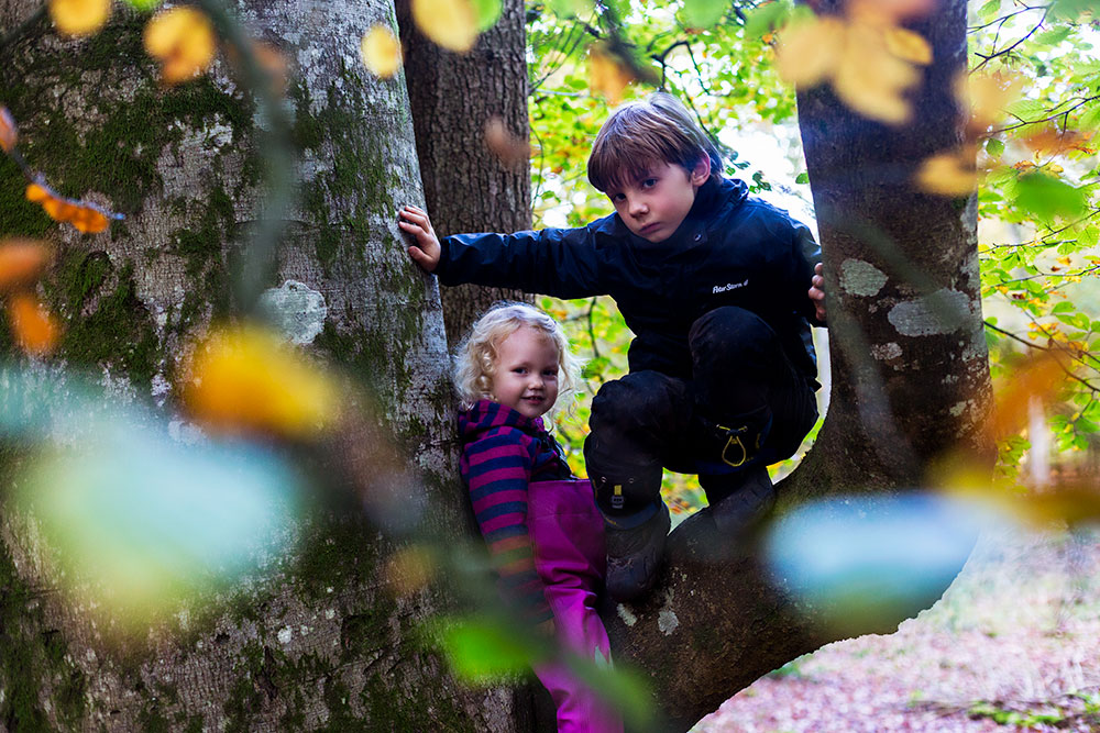 From the blues to bliss