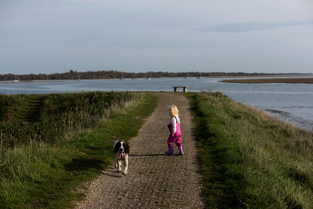 The soothing sea & the grounding forest