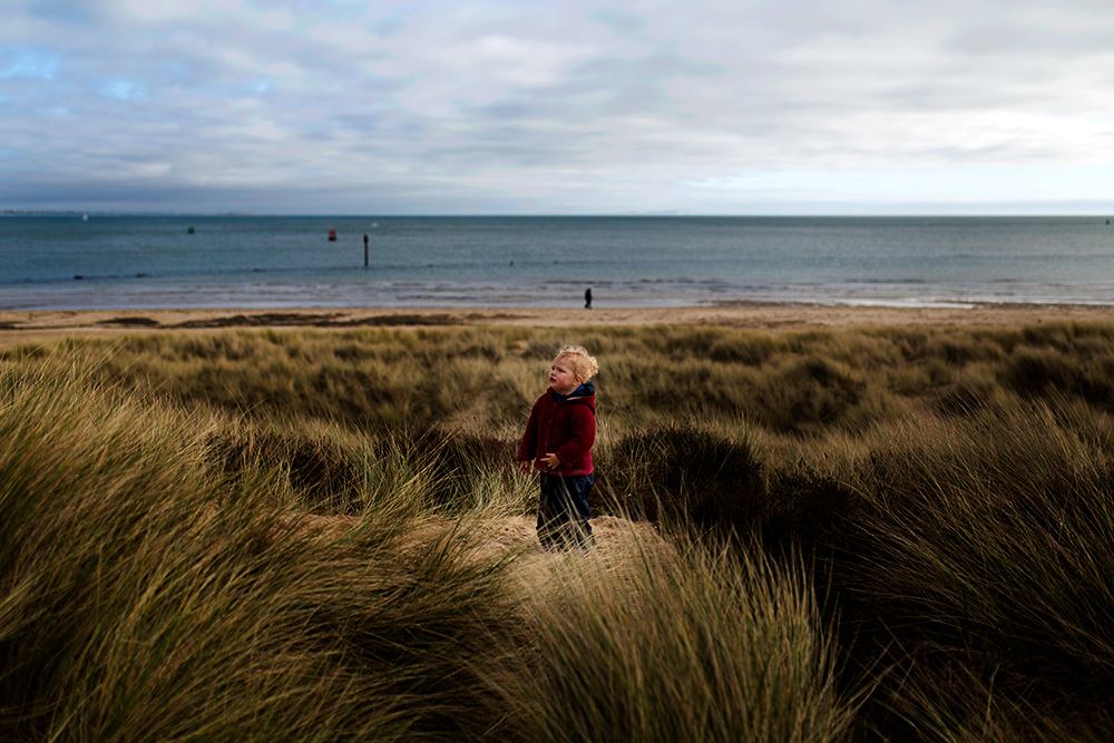 All About the Seaside